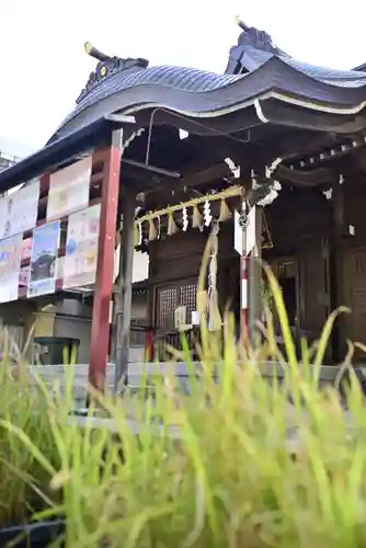 磐井神社の本殿・本堂