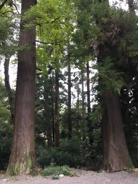 一之宮貫前神社のその他建物