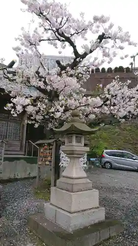 北方皇太神宮の自然