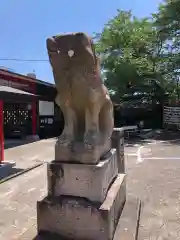 徳島眉山天神社の狛犬