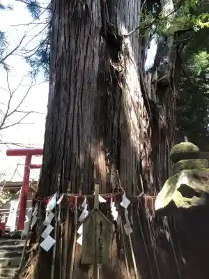 磐椅神社(福島県)