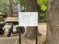 熊野神社(東京都)
