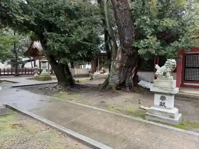 角鹿神社の{uncategorized: "未分類", other: "その他", undefined: "問題あり", building: "その他建物", grave: "お墓", sacred_gate: "鳥居", guardian: "狛犬", statue: "像", buddha: "仏像", history: "歴史", nature: "自然", garden: "庭園", animal: "動物", pagoda: "塔", temizu: "手水舎", mountain_gate: "山門・神門", sanctuary: "本殿・本堂", subordinate: "末社・摂社", art: "芸術", scenery: "景色", jizo: "地蔵", ema: "絵馬", goshuin: "御朱印", omikuji: "おみくじ", items: "授与品その他", amulet: "お守り", goshuincho: "御朱印帳", eats: "食事", festival: "お祭り", votive_dance: "神楽", shichigosan: "七五三参", wedding: "結婚式", experience: "体験その他", initially: "初詣", around: "周辺", anti_infection: "感染症対策"}