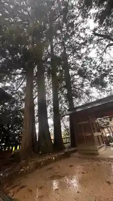 二宮神社(兵庫県)