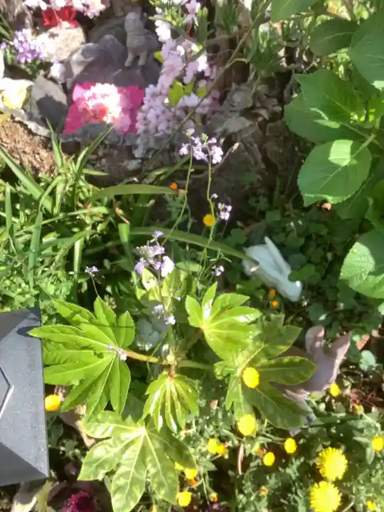 三輪神社の自然