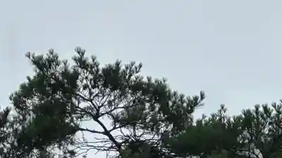 新荘護國神社(山形県)