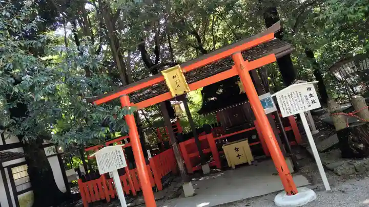 賀茂御祖神社(下鴨神社)(京都府)