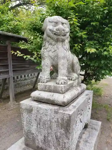 中津神社の狛犬