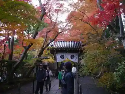 光明寺（粟生光明寺）の山門・神門