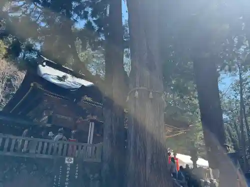 三峯神社の{uncategorized: "未分類", other: "その他", undefined: "問題あり", building: "その他建物", grave: "お墓", sacred_gate: "鳥居", guardian: "狛犬", statue: "像", buddha: "仏像", history: "歴史", nature: "自然", garden: "庭園", animal: "動物", pagoda: "塔", temizu: "手水舎", mountain_gate: "山門・神門", sanctuary: "本殿・本堂", subordinate: "末社・摂社", art: "芸術", scenery: "景色", jizo: "地蔵", ema: "絵馬", goshuin: "御朱印", omikuji: "おみくじ", items: "授与品その他", amulet: "お守り", goshuincho: "御朱印帳", eats: "食事", festival: "お祭り", votive_dance: "神楽", shichigosan: "七五三参", wedding: "結婚式", experience: "体験その他", initially: "初詣", around: "周辺", anti_infection: "感染症対策"}