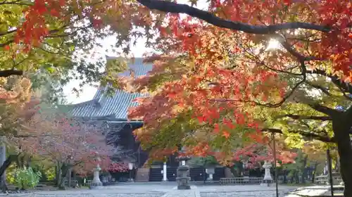 真正極楽寺（真如堂）のその他建物