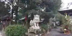 大井神社の狛犬