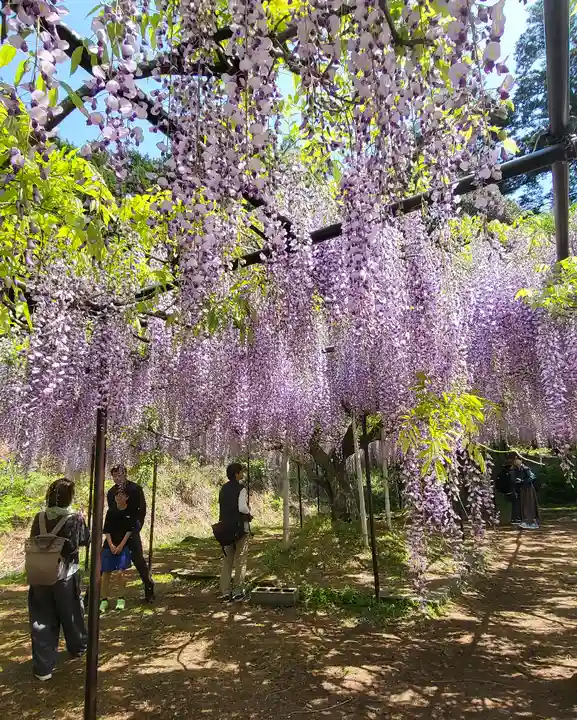 天台宗 五大山 白毫寺(兵庫県)