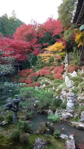 柳谷観音　楊谷寺の庭園