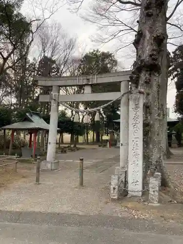 胸形神社(栃木県)