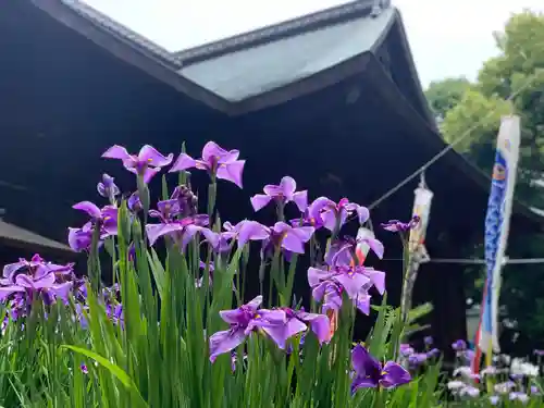 府八幡宮の自然