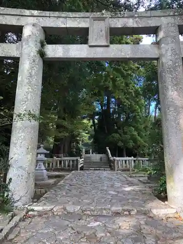 櫻井神社の鳥居