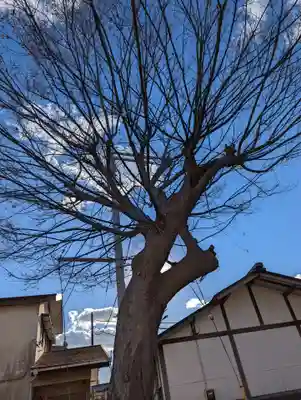 子守神社の自然