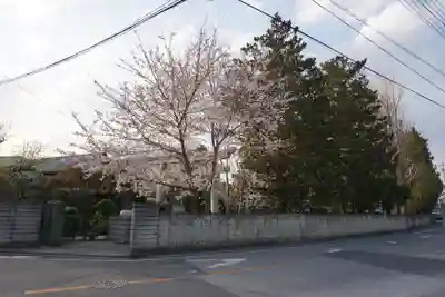 上青木氷川神社の周辺
