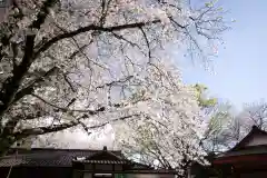 前原御嶽神社(千葉県)