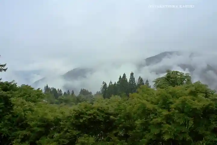 三峯神社(埼玉県)
