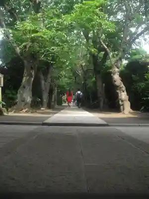 極楽寺（霊鷲山感應院極楽律寺）の周辺