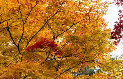 大矢田神社(岐阜県)