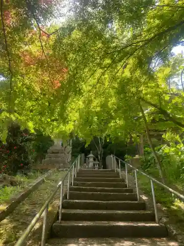 珍蔵寺　の{uncategorized: "未分類", other: "その他", undefined: "問題あり", building: "その他建物", grave: "お墓", sacred_gate: "鳥居", guardian: "狛犬", statue: "像", buddha: "仏像", history: "歴史", nature: "自然", garden: "庭園", animal: "動物", pagoda: "塔", temizu: "手水舎", mountain_gate: "山門・神門", sanctuary: "本殿・本堂", subordinate: "末社・摂社", art: "芸術", scenery: "景色", jizo: "地蔵", ema: "絵馬", goshuin: "御朱印", omikuji: "おみくじ", items: "授与品その他", amulet: "お守り", goshuincho: "御朱印帳", eats: "食事", festival: "お祭り", votive_dance: "神楽", shichigosan: "七五三参", wedding: "結婚式", experience: "体験その他", initially: "初詣", around: "周辺", anti_infection: "感染症対策"}