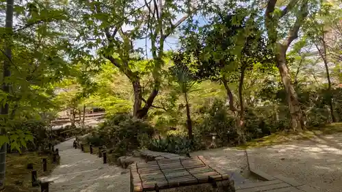 圓光寺(京都府)