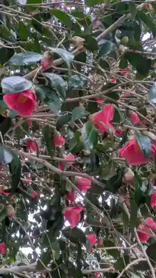 村雲御所瑞龍寺門跡(滋賀県)