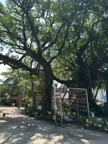 野島神社(宮崎県)