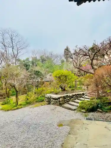 岩之上堂の{uncategorized: "未分類", other: "その他", undefined: "問題あり", building: "その他建物", grave: "お墓", sacred_gate: "鳥居", guardian: "狛犬", statue: "像", buddha: "仏像", history: "歴史", nature: "自然", garden: "庭園", animal: "動物", pagoda: "塔", temizu: "手水舎", mountain_gate: "山門・神門", sanctuary: "本殿・本堂", subordinate: "末社・摂社", art: "芸術", scenery: "景色", jizo: "地蔵", ema: "絵馬", goshuin: "御朱印", omikuji: "おみくじ", items: "授与品その他", amulet: "お守り", goshuincho: "御朱印帳", eats: "食事", festival: "お祭り", votive_dance: "神楽", shichigosan: "七五三参", wedding: "結婚式", experience: "体験その他", initially: "初詣", around: "周辺", anti_infection: "感染症対策"}
