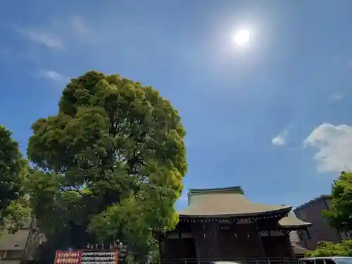 東京羽田 穴守稲荷神社(東京都)