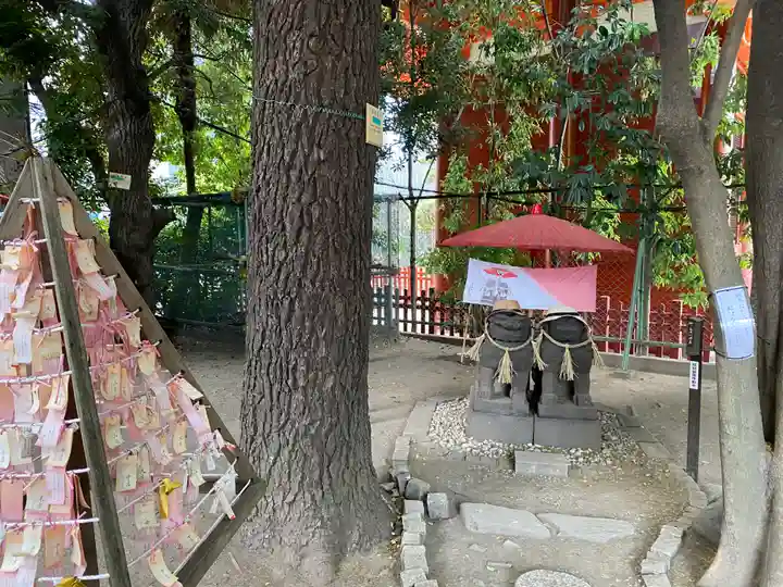 浅草神社の狛犬