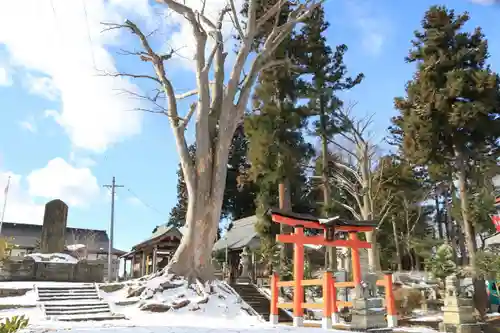 多田野本神社の景色