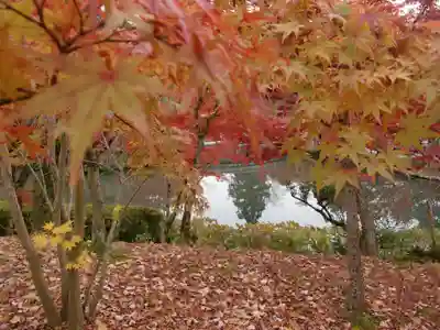 禅林寺(永観堂)(京都府)