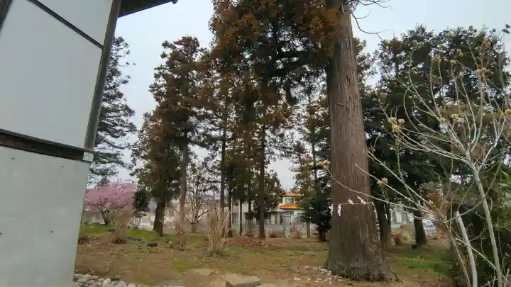 大野神社(埼玉県)
