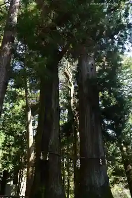 河口浅間神社(山梨県)