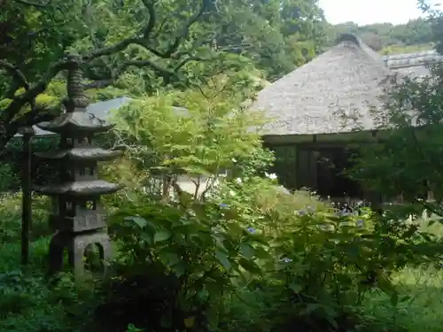 浄智寺の庭園