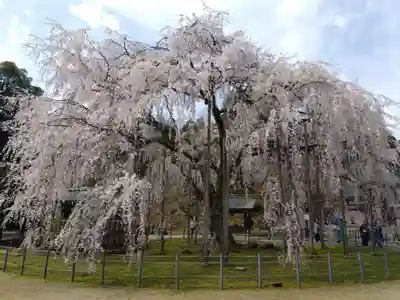 足羽神社(福井県)
