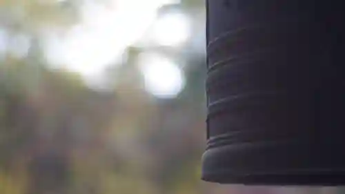 廬山寺（廬山天台講寺）(京都府)