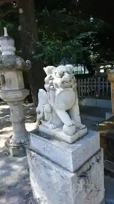 本木氷川神社の狛犬