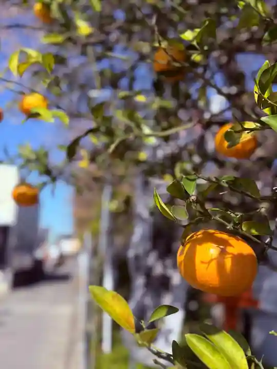 尾張猿田彦神社(愛知県)