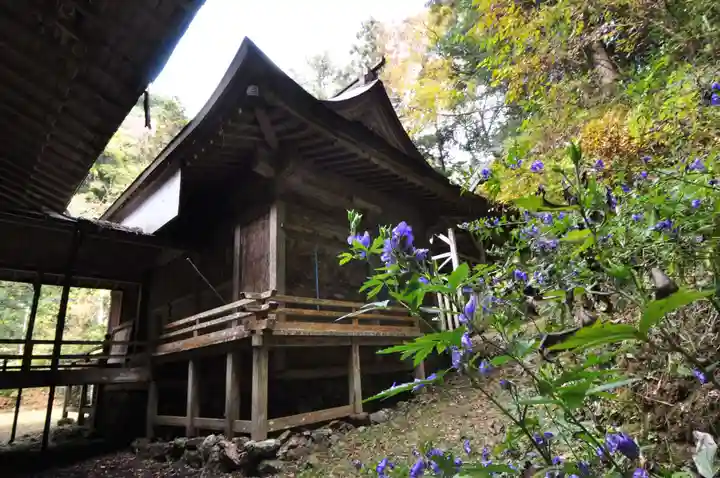 天神社(愛媛県)