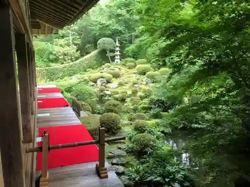 三千院門跡の庭園