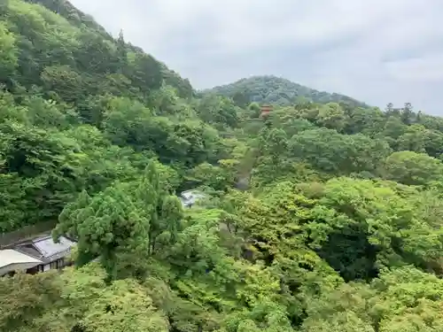 清水寺の景色