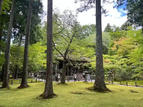 三千院門跡(京都府)