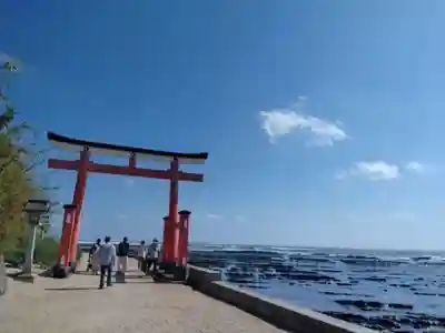 青島神社(青島神宮)の鳥居