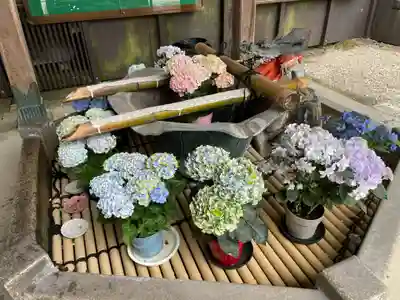 長谷寺(奈良県)