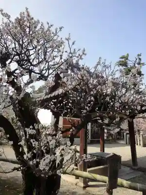 菅原天満宮（菅原神社）のその他建物
